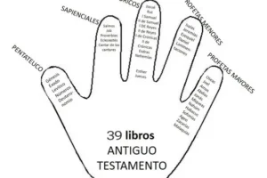 Cómo empezar a leer la Biblia correctamente: guía para principiantes