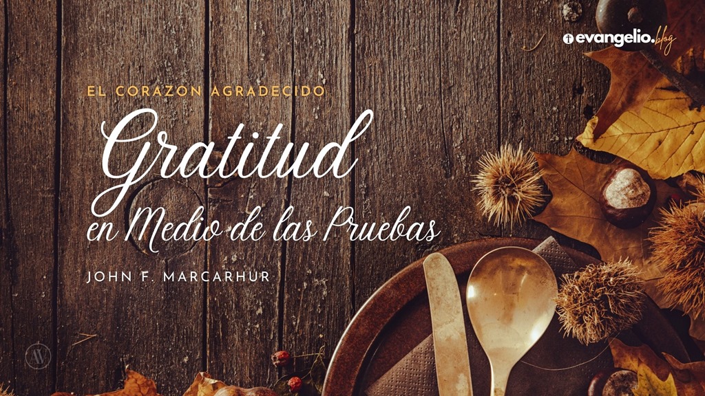 Estudio bíblico sobre la gratitud a Dios