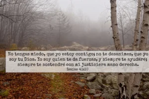 15 versículos de ánimo cuando todo parece perdido